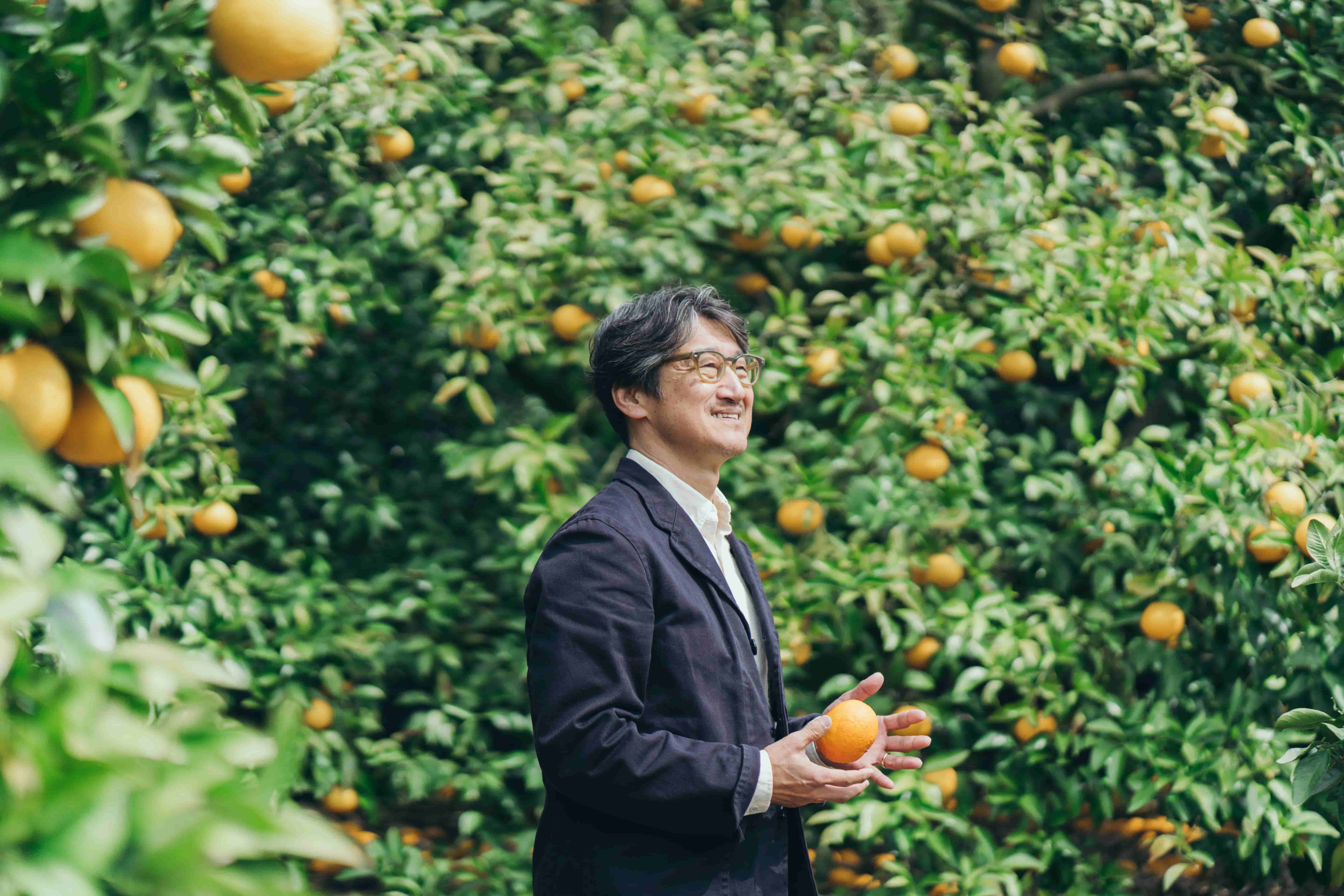 ����Ĺ ��� �ɺ�